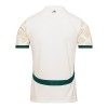 Ivoorkust Uitshirt 2024-25